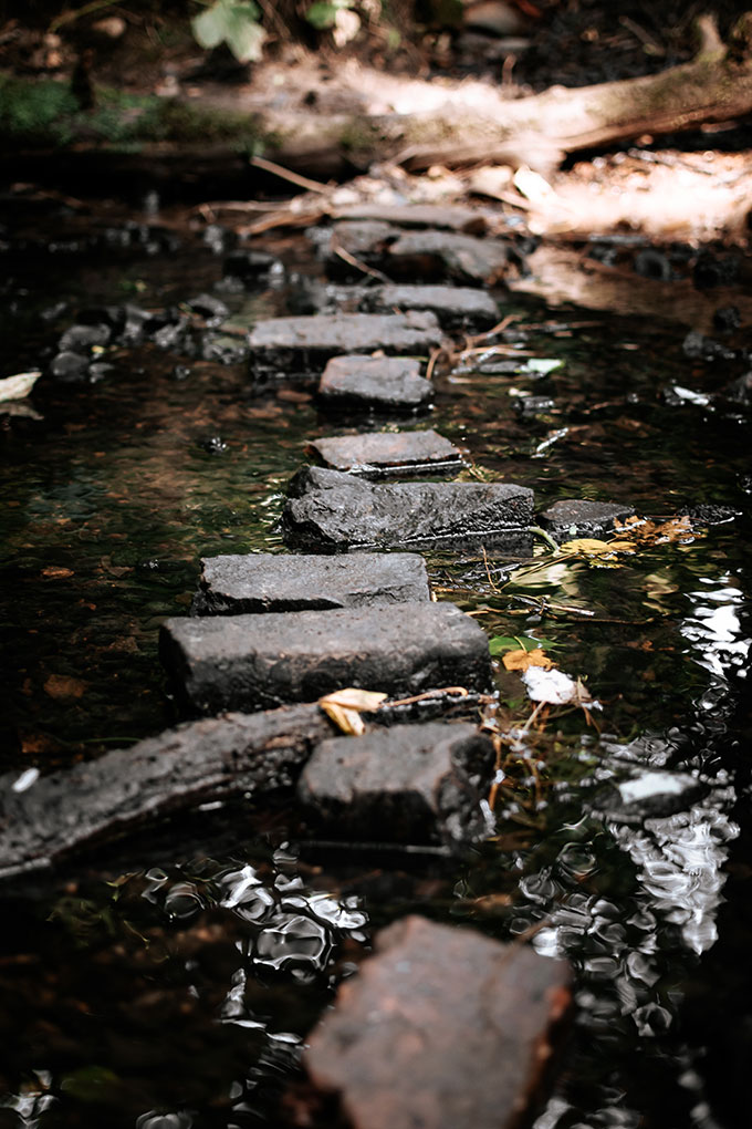 Stream with stepping stones